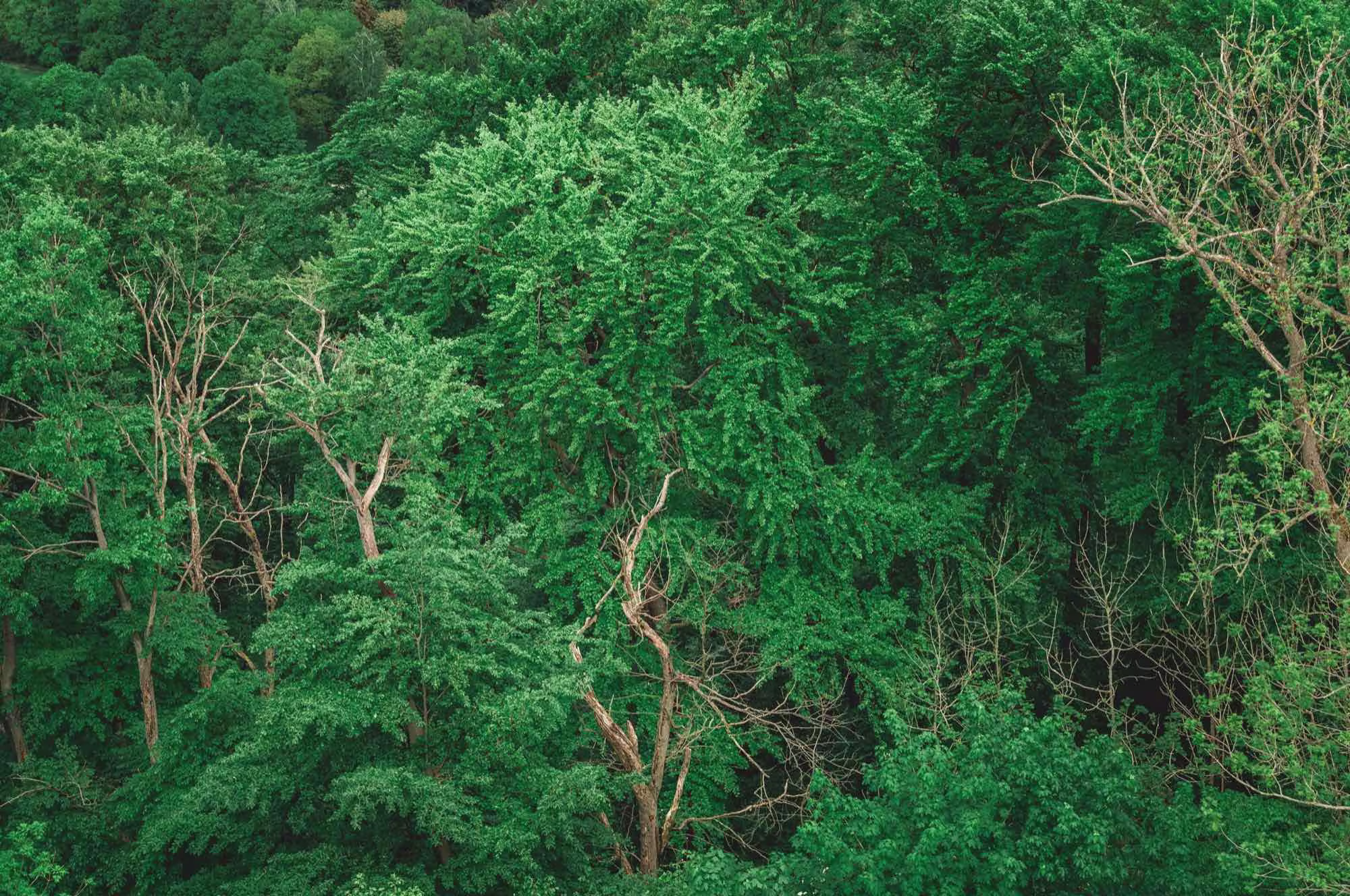Climate & Nature