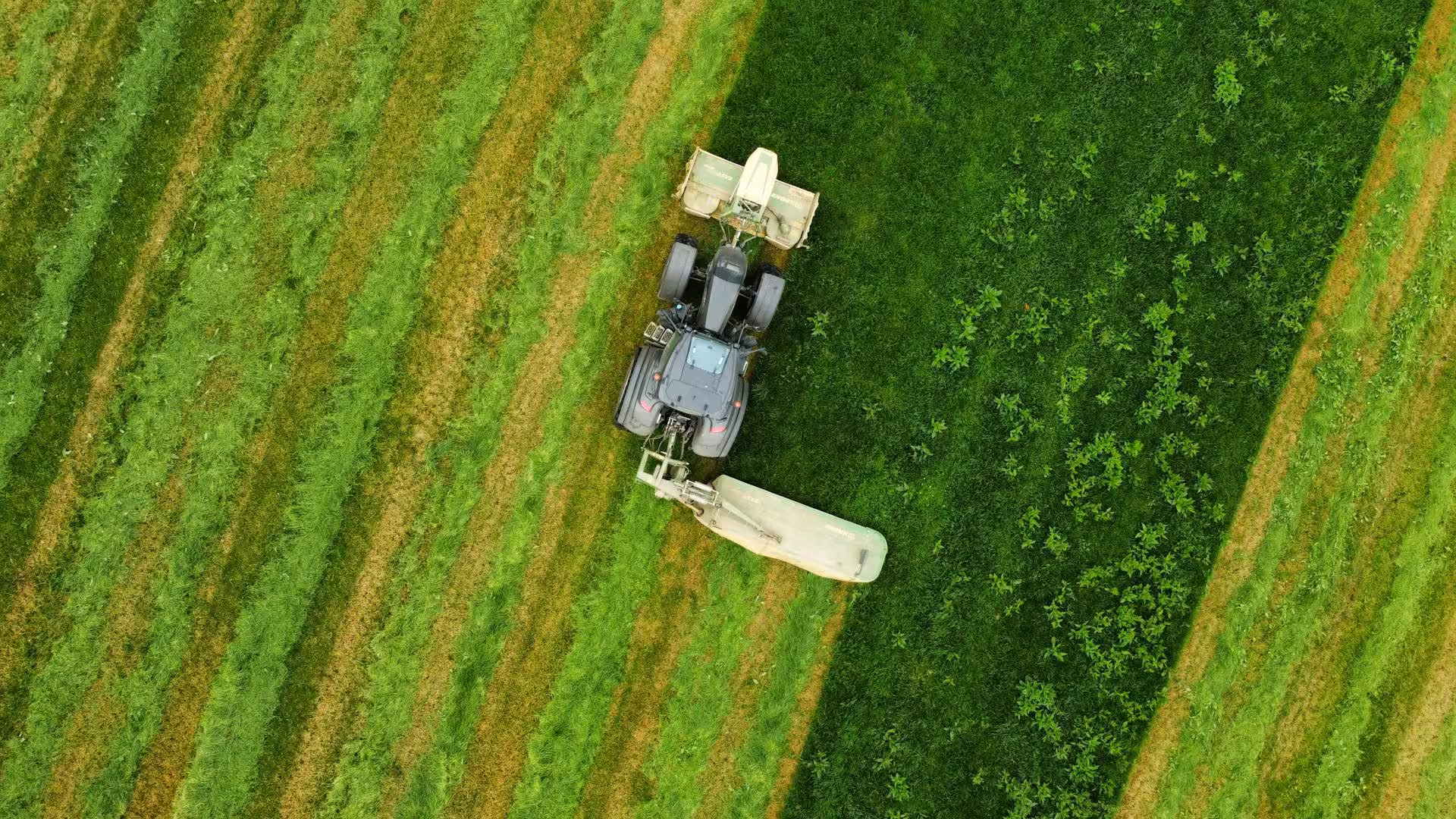 Aerial view of farm machinery cutting green fields